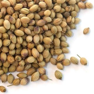 CORIANDER SEED