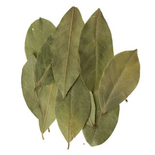 DONNE BAY LEAVES