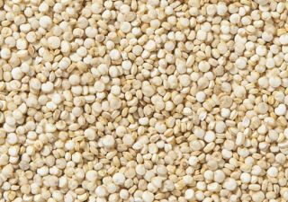 WHITE QUINOA GRAINS