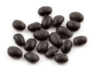 BLACK TURTLE BEANS 