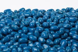  BLUEBERRY DRIED
