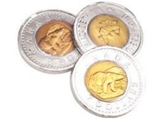 CHOCOLATE TOONIES FOILED