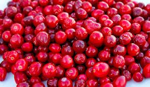 CRANBERRY