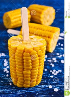 CUT COBS OF CORN