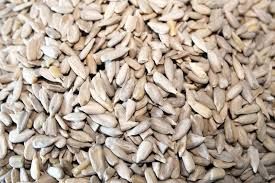 SUNFLOWER SEEDS RAW SHELLED