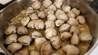 BABY CLAMS