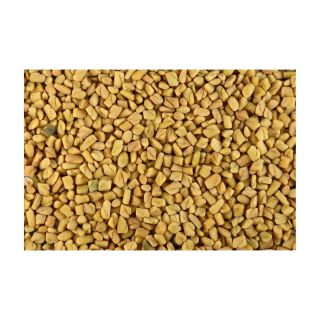 FENUGREEK SEEDS - WHOLE