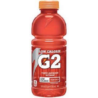 GATORADE G2 FRUIT PUNCH-591 ML X 12 BOTTLES