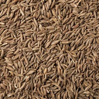 CARAWAY SEEDS