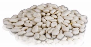 GREAT NORTHERN BEANS 