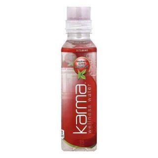 KARMA WATER BODY RASB GUAVA JACKFR