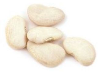 LARGE LIMA BEANS 