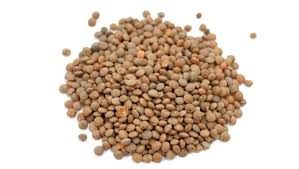 LENTILS