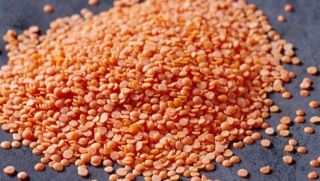 LENTILS RED 