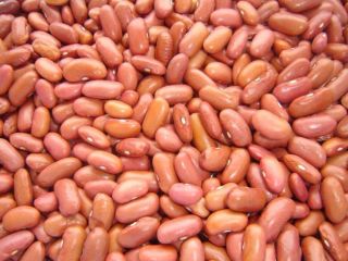 LIGHT RED KIDNEY BEANS 