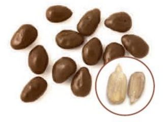 MILK CHOCOLATES SUNFLOWER SEEDS