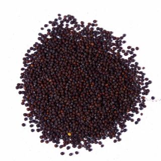 MUSTARD SEEDS