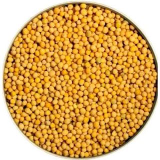 MUSTARD SEEDS YELLOW #1 