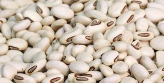 NAVY BEANS