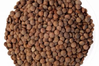 ORGANIC BROWN LENTILS