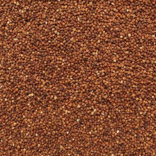 ORGANIC BUCKWHEAT TOASTED KASHA 