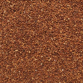 ORGANIC BUCKWHEAT TOASTED KASHA 