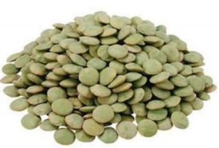 ORGANIC GREEN LENTILS