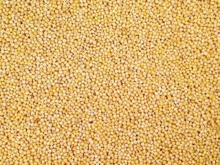 ORGANIC HULLED MILLET 