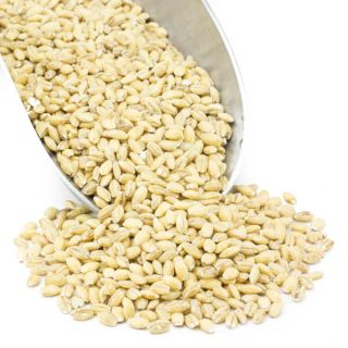 ORGANIC OAT GROAT HULLED WHOLE 