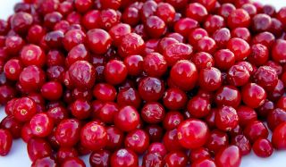 ORGANIC CRANBERRY SPLASH MIX 