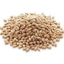 PEARL BARLEY 