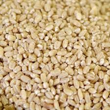 PEARLED BARLEY