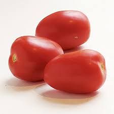 PLUM TOMATOES