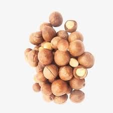 MACADAMIA NUTS