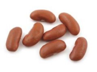 RED KIDNEY BEANS