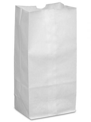 PLAIN WHITE GROCERY BAGS 6LB 