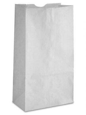 PLAIN WHITE GROCERY BAGS 10LB 