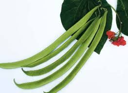 RUNNER CAN NELLI Nl HEIRLOOM BEANS