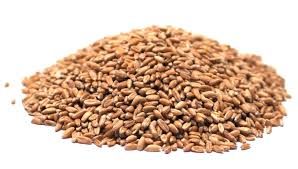 S SPELT GRAIN FARRO