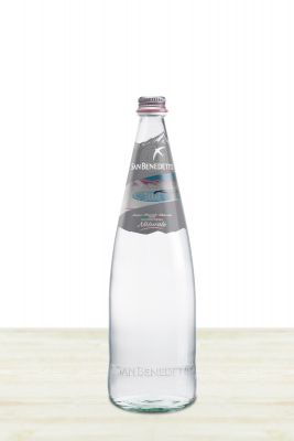 SAN BENEDETTO WATER NATURAL GLASS - 24 x 250 ML