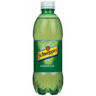 SCHWEPPES GINGERALE - 24x591ml 