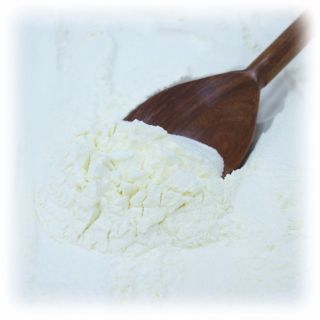 MILK POWDER NON-INSTANT SKIM 