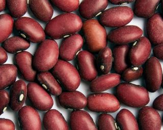 SMALL RED MEXICAN BEANS 