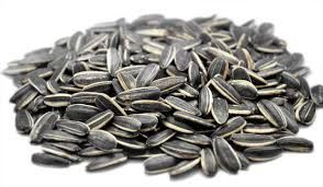 SUNFLOWER SEEDS IN SHELL RAW