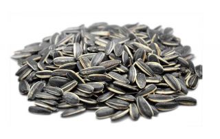 SUNFLOWER SEEDS ROASTED -NO SALT           