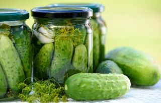 DILL PICKLES-NO GARLIC