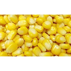 SWEET KERNEL CORN