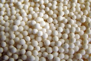 TAPIOCA WHITE PEARL - MEDIUM/SMALL