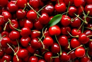 TA MARASCHINO CHERRIES WITH STEMS - 4LT