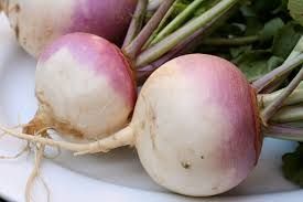 TURNIPS 16LT